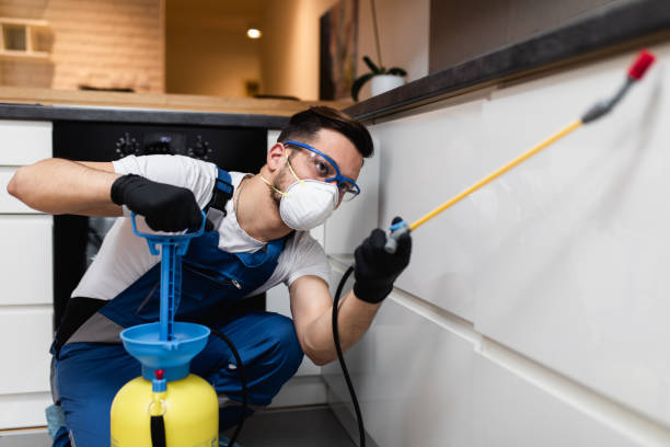 Best Flea Control Services  in Valrico, FL