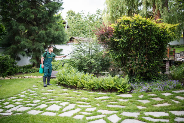 Best Pest Control Cost  in Valrico, FL
