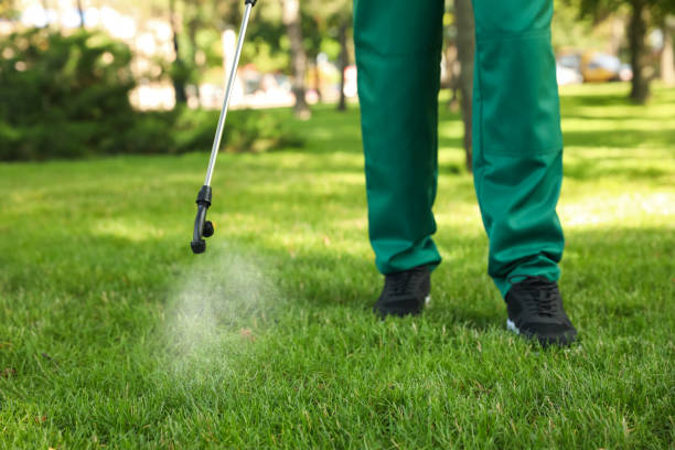 Best Emergency Pest Control  in Valrico, FL