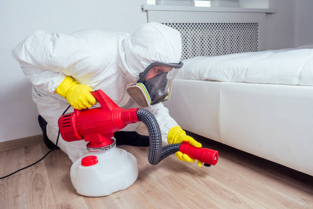 Best Residential Pest Control  in Valrico, FL