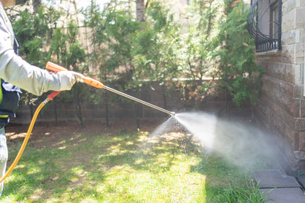 Best Emergency Pest Control  in Valrico, FL
