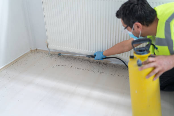 Best Pest Control Near Me  in Valrico, FL